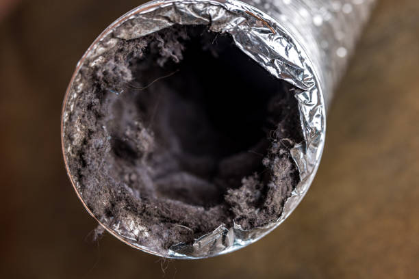 Best Duct Cleaning for Homes  in Lmyra, PA